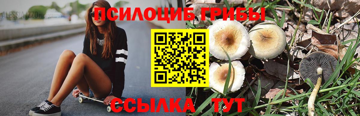 Псилоцибиновые грибы ЛСД Каменка