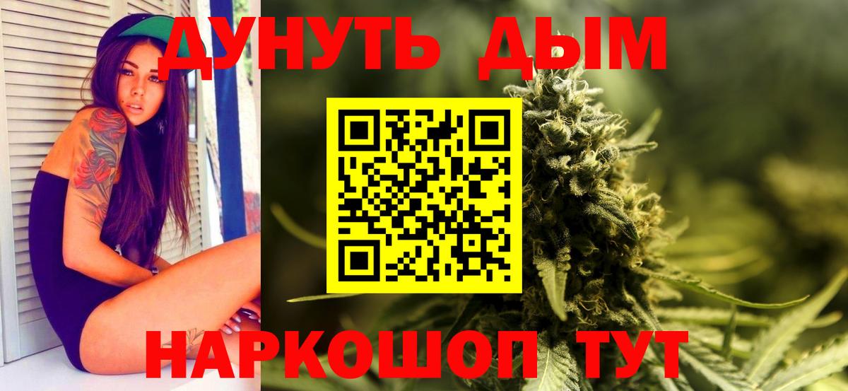 Каннабис OG Kush Каменка